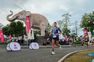 BIB: 
                            <button type="button" onclick="openModal(26528758)" class="btn btn-primary btn-sm float-right btn-popup" data-toggle="modal" data-target=".modal-high-quality">
                        <i class="fas fa-shopping-cart"></i> Add to Cart
                    </button>
                                            <button type="button" onclick="isThisMe(26528758, true)" class="btn btn-success btn-sm float-right btn-popup btn-isme hidden" data-toggle="tooltip" data-placement="bottom" title="นี่คือรูปของคุณใช่ไหม คลิกที่นี่เพื่อเอาเข้าอัลบั้ม">
                        <i class="fas fa-plus"></i> Add to album
                    </button>
                    <button type="button" onclick="isThisMe(26528758, false)" class="btn btn-warning btn-sm float-right btn-popup btn-isnotme hidden">
                        <i class="fas fa-ban"></i> Remove from album
                    </button>